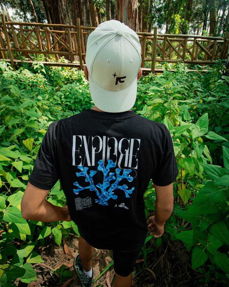 Anthology summer drop